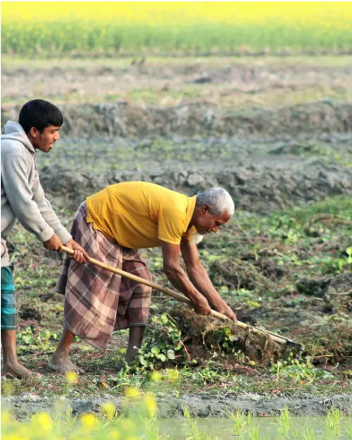 Food Security